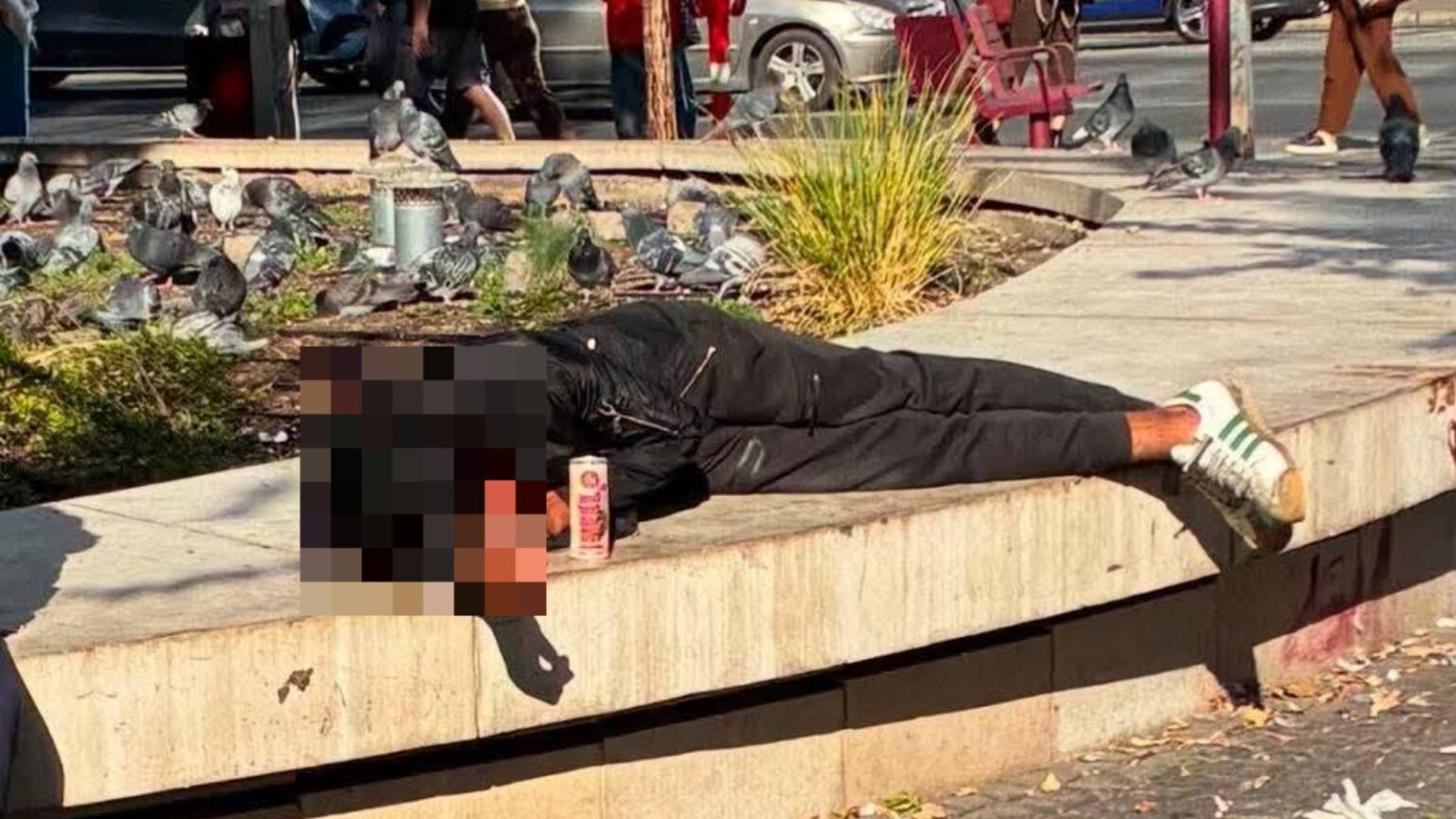 A Blaha Lujza tér egyik ülőfalán fekvő férfi, előtte egy ital, mögötte galambok