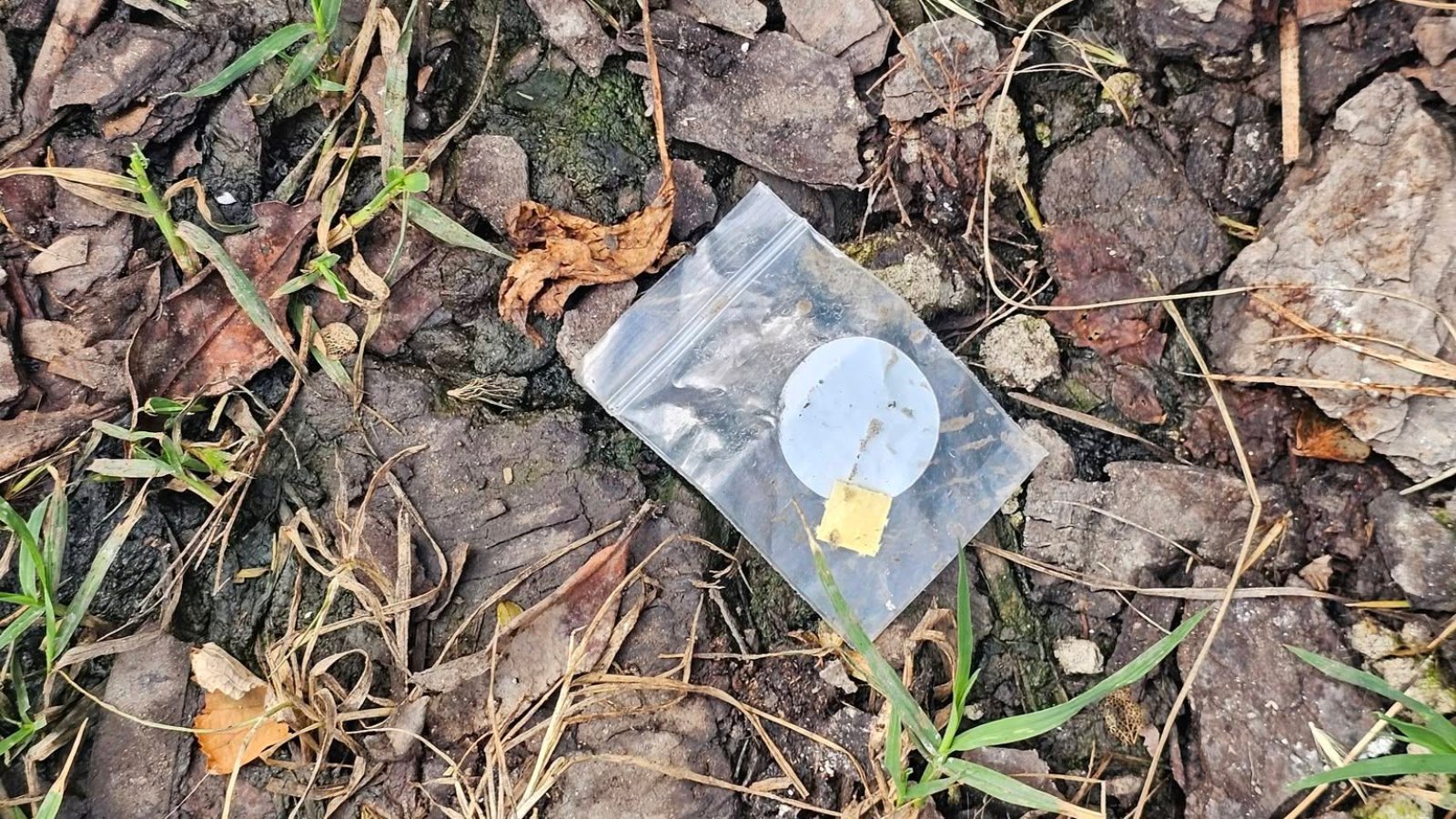 Eldobott kis zipzáras műanyag zacskó a Blaha Lujza tér egyik zöldfelületén